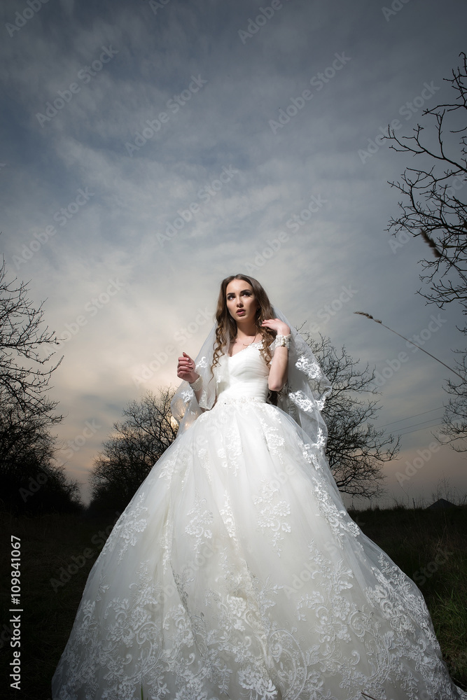 Beautiful bride in dusk