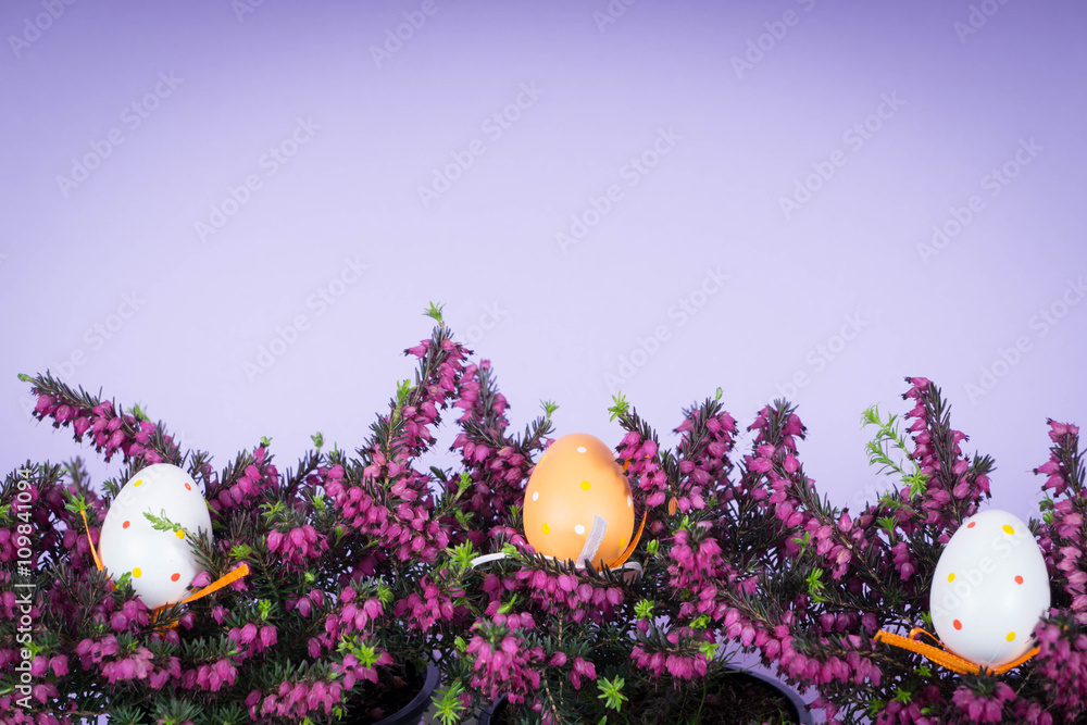 Fototapeta premium Easter decorations with heather, eggs and bunny