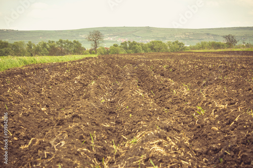 Plowed land in the summer
