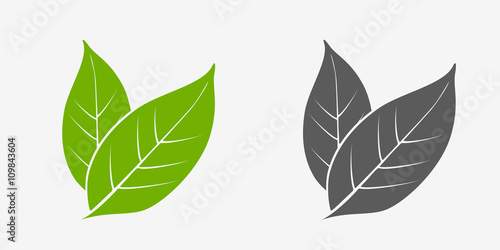Tea leaves icon set. Green and gray. Isolated leaves on white background photo