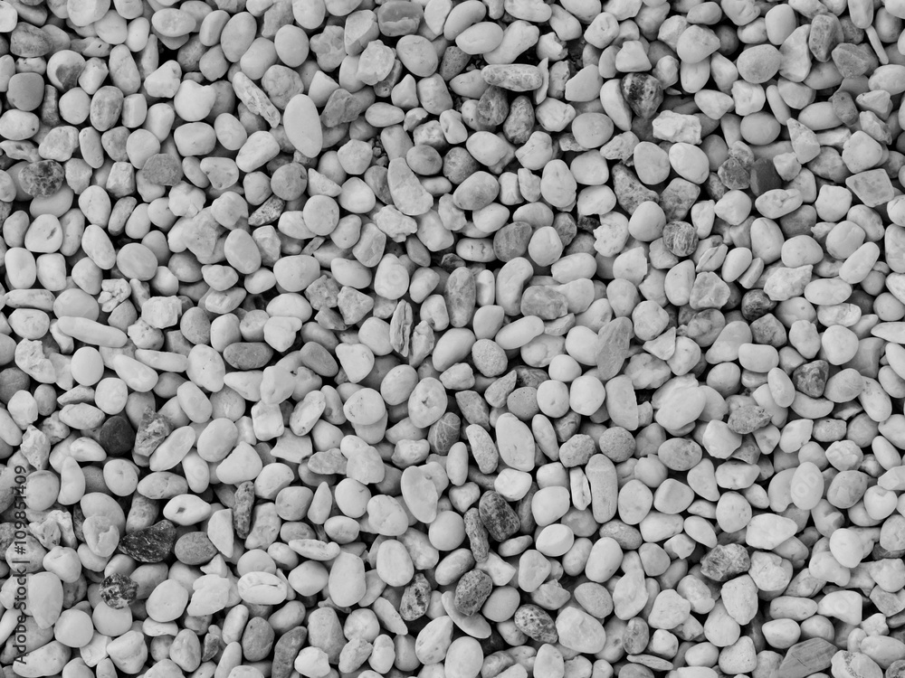 Small white stone gravel background texture. rocky, stony pebbles texture. Small white stone gravel background texture. rocky, stony pebbles texture.
