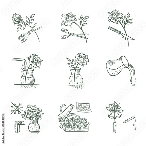 Floristic Vector Icons