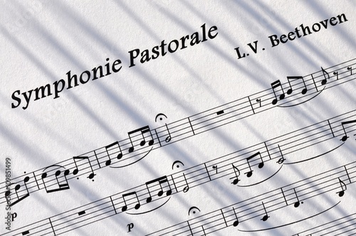 Slika na platnu Extrait de la 6ème symphonie de Beethoven