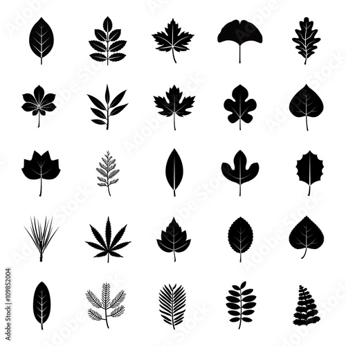 Leaves glyph vector icons