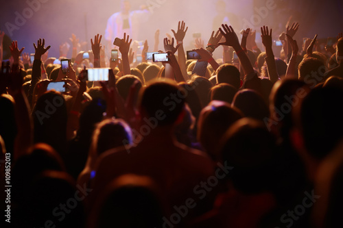 Crowd at the concert