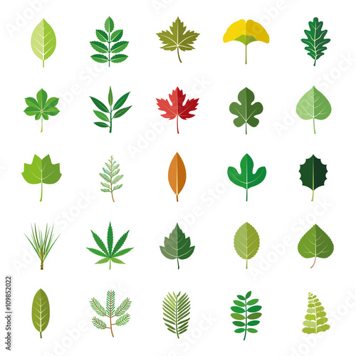 Leaves color vector icons