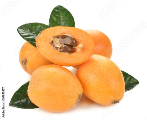 фотографія Japanese loquat
