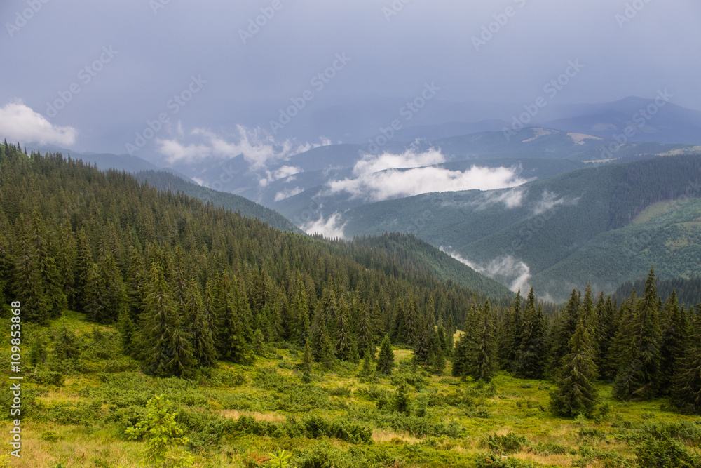summer landscape of Marmarosy mountains range of Carpathian mountains on the Ukraine and Romania border