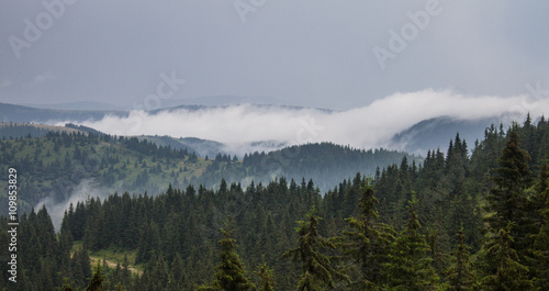 Fototapeta Naklejka Na Ścianę i Meble -  summer landscape of Marmarosy mountains range of Carpathian mountains on the Ukraine and Romania border