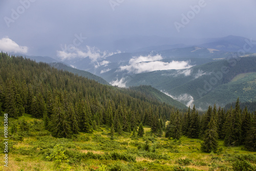 summer landscape of Marmarosy mountains range of Carpathian mountains on the Ukraine and Romania border