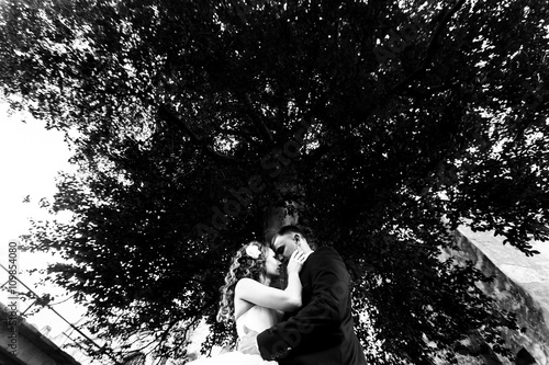 Newlyweds kiss under a huge old tree