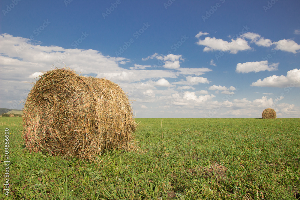 Bales of hay on green grass and blue sky with clouds