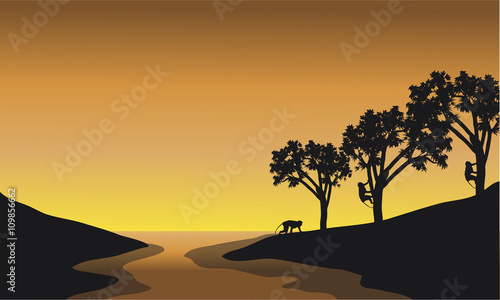 Silhouette of monkey in river