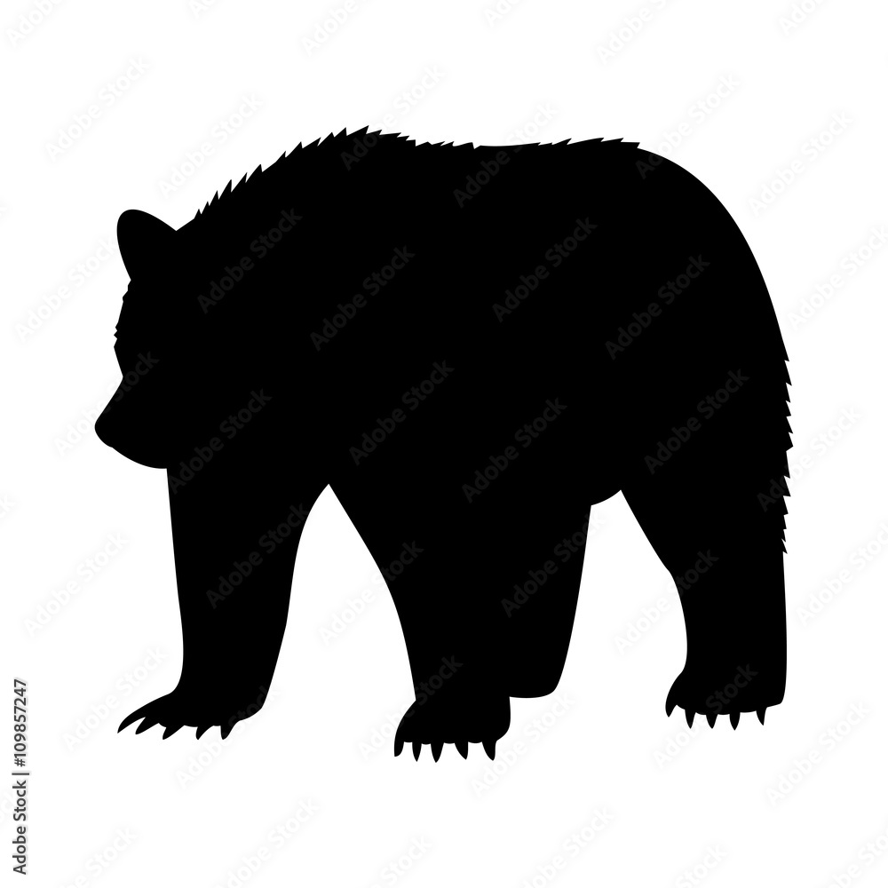 Fototapeta premium animal bear abstract