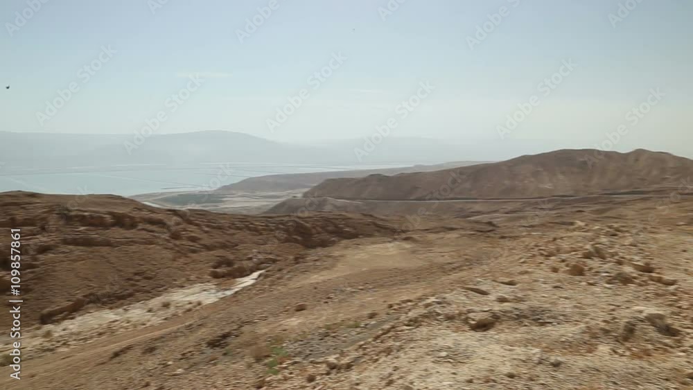 The Nature Of Israel The Nature Of Israel