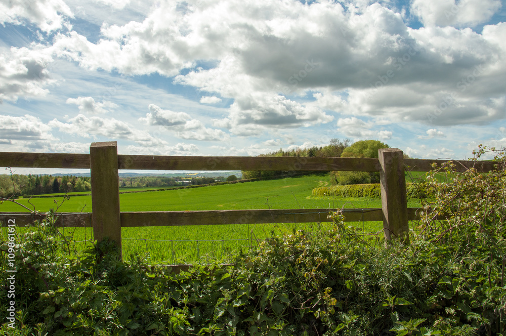 A view through the fence in the English countryside A view through the fence in the English countryside