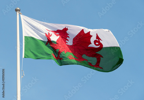 Photos Welsh flag blowing in the wind.