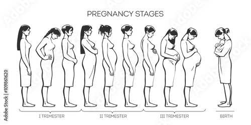 Stages of pregnancy, different women at different stages of pregnancy, illustration sketch hand-drawn style, types of trimesters in fertile women, infographics of pregnancy and childbirth