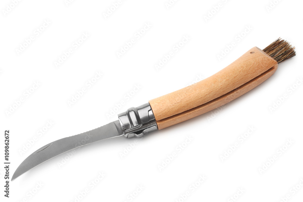 Clasp knife with brush for mushroomon