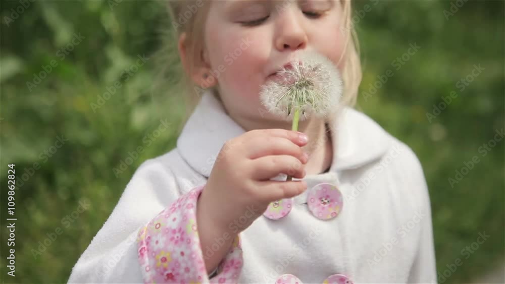 little girl blond blowing a dandelion little girl blond blowing a dandelion