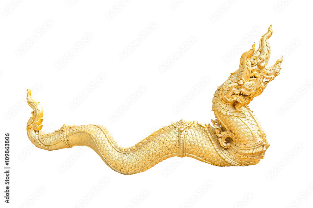 Fototapeta premium Naga white background