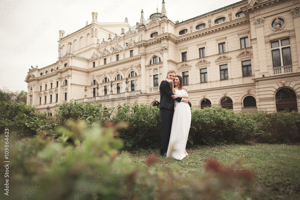 Beautiful wedding couple, bride, groom kissing and hugging against the background of theater