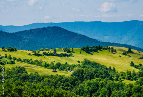 mountain summer landscape. trees near meadow and forest on hills