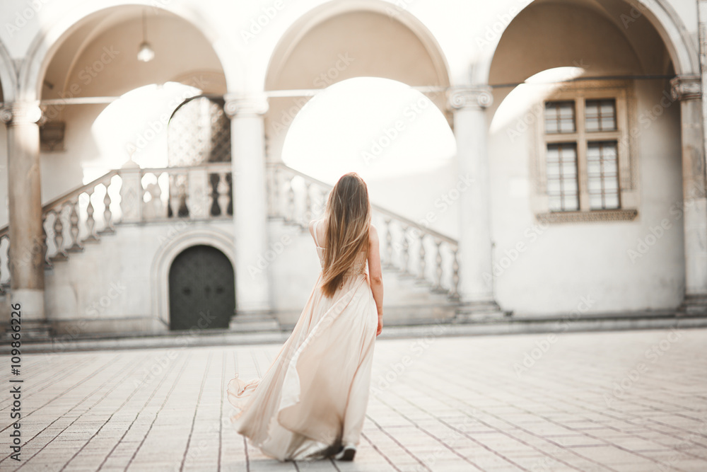 Beautiful girl, model with long hair posing in old castle near columns. Krakow Vavel