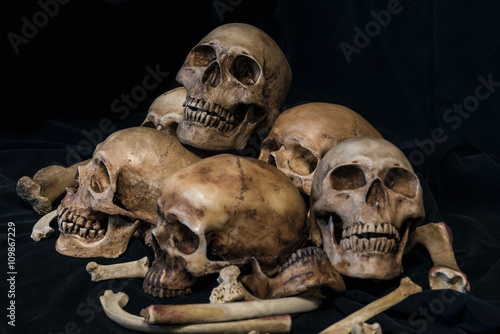 Pile of skulls and animal bones on black fabric background. Genocides concept...