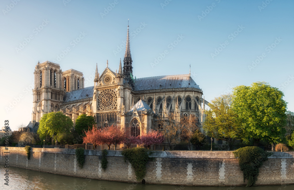 Notre Dame of Paris on the late afternoon in Spring
