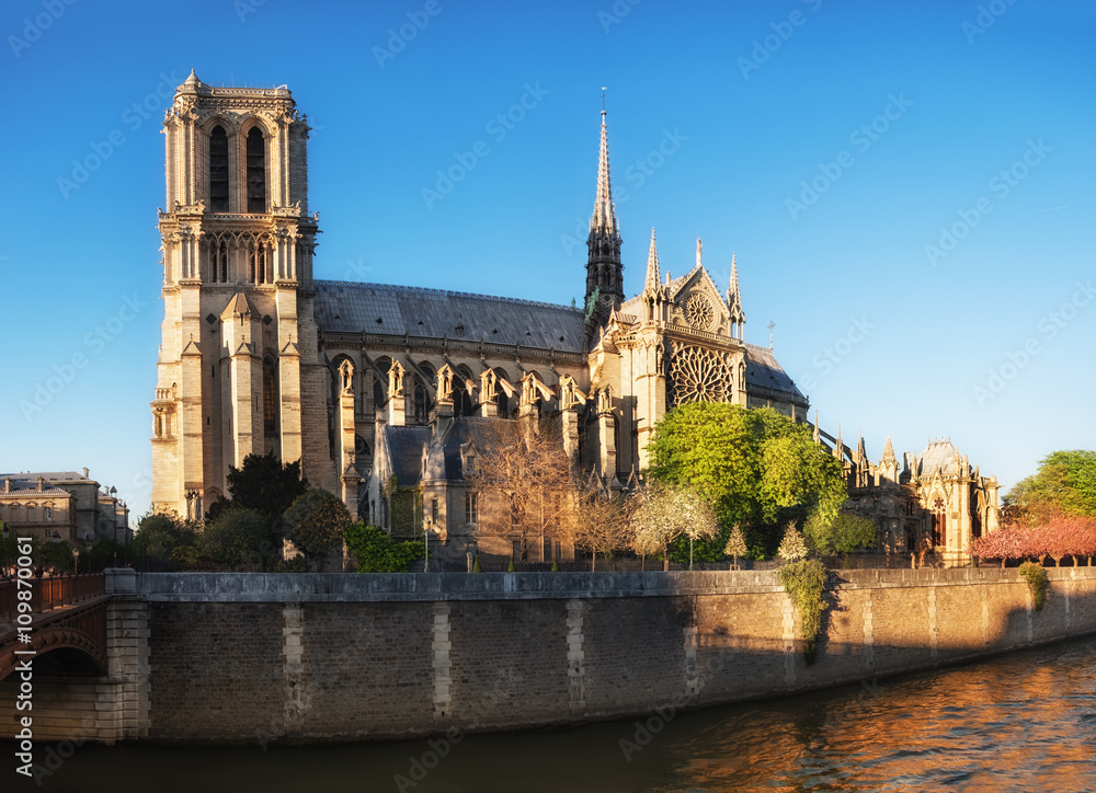 Notre Dame of Paris side view in Spring
