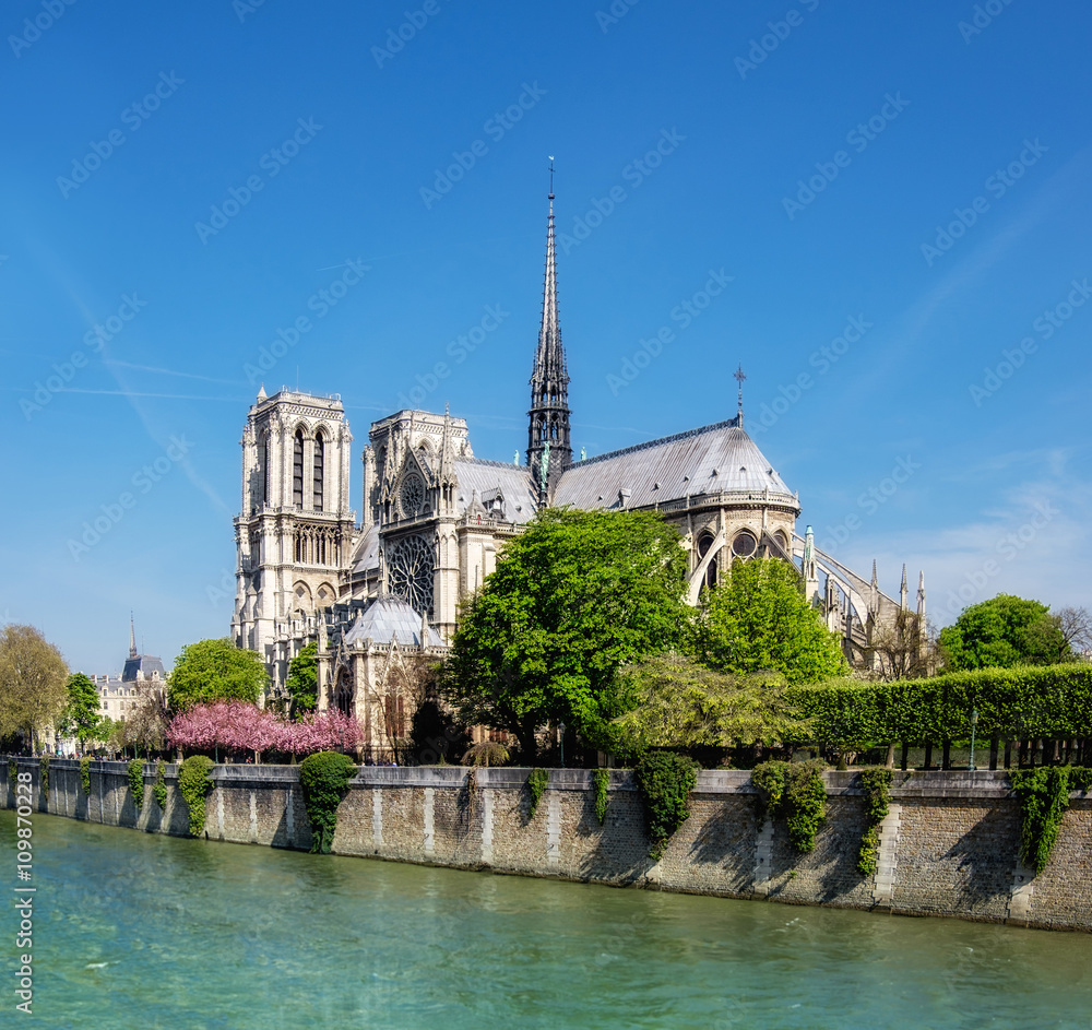 Notre Dame Cathedral in Paris in Spring