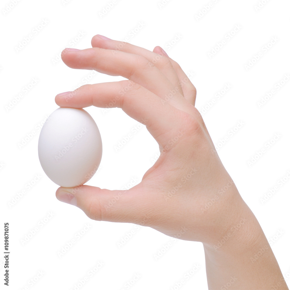 Hand holding egg