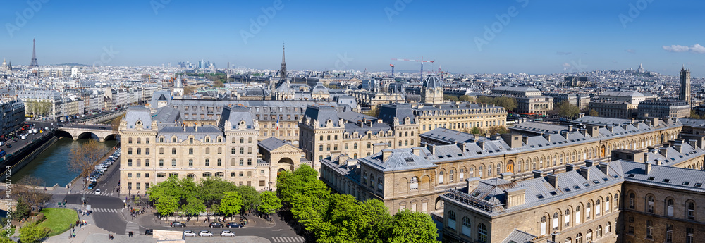 Top view from Cathedral Notre Dame in Paris