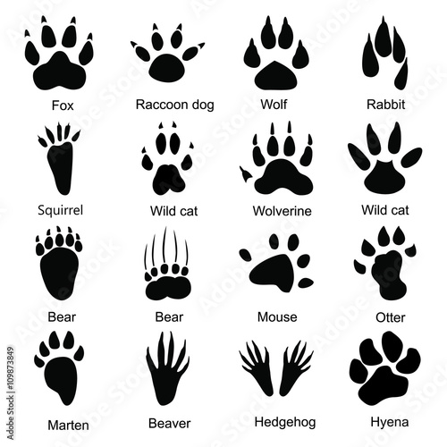 Set of sixteen animals paw print icons