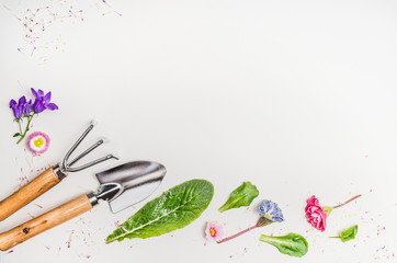 Garden tools and parts of plants and flowers on light background, top view, place for text, border