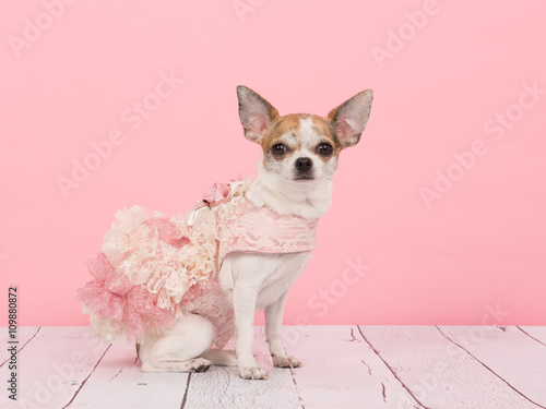 Fototapeta Naklejka Na Ścianę i Meble -  Wearing a pink dress