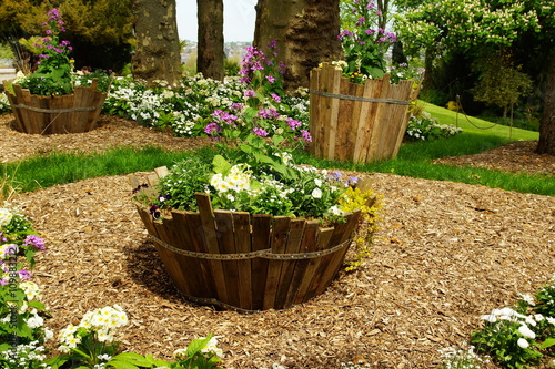 Fototapeta Naklejka Na Ścianę i Meble -  Pot de fleur bois parc