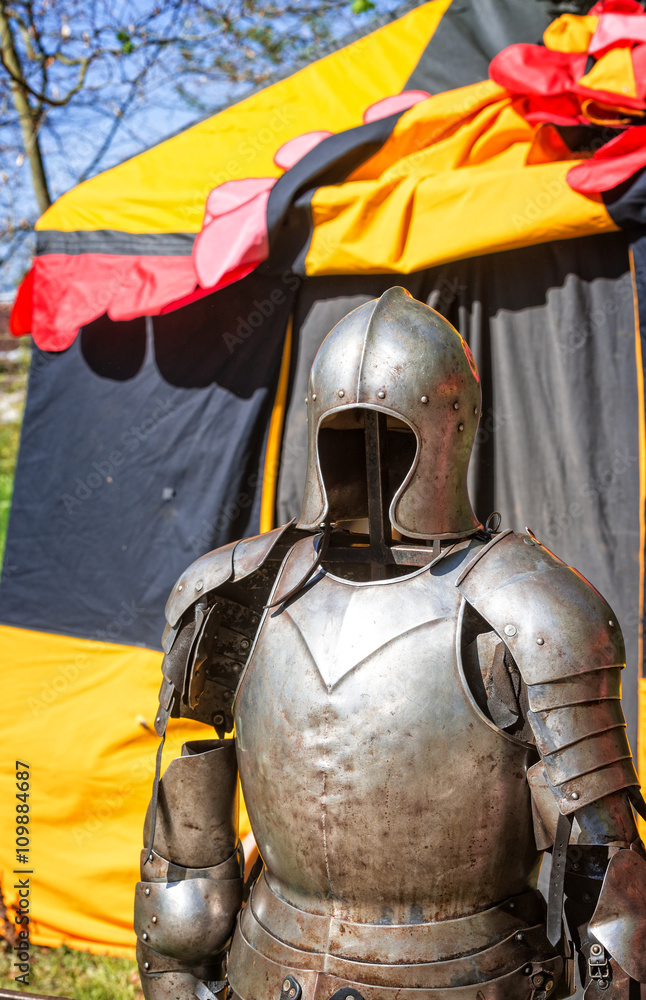 Fototapeta premium knight armor