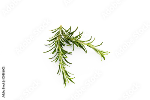 Rosemary twig on the isolated white background.