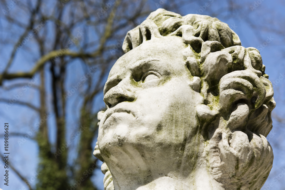 head of the statue of a man with curly hair