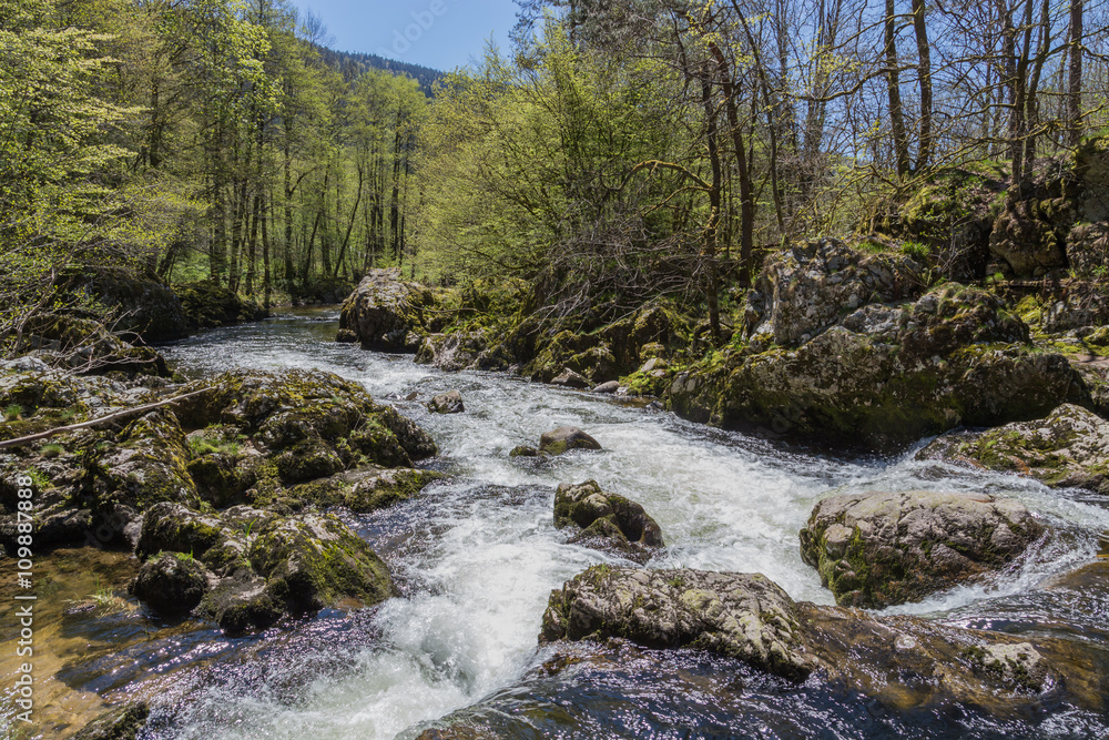 Rivière la Moselotte