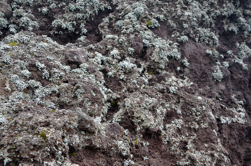 volcanic rock detail photo of nature stone volcanic rock detail photo of nature stone