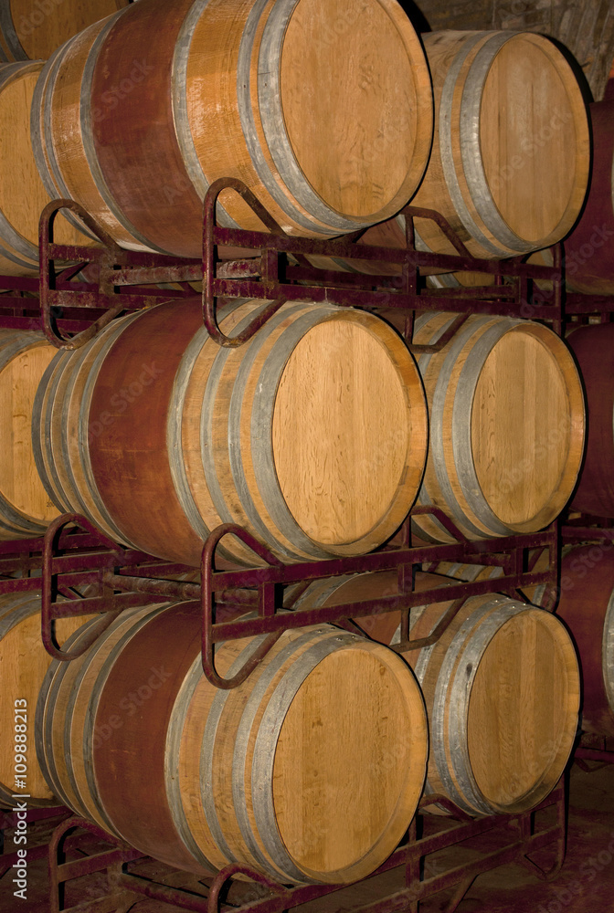 Photo of a row of wine barrels in a winery