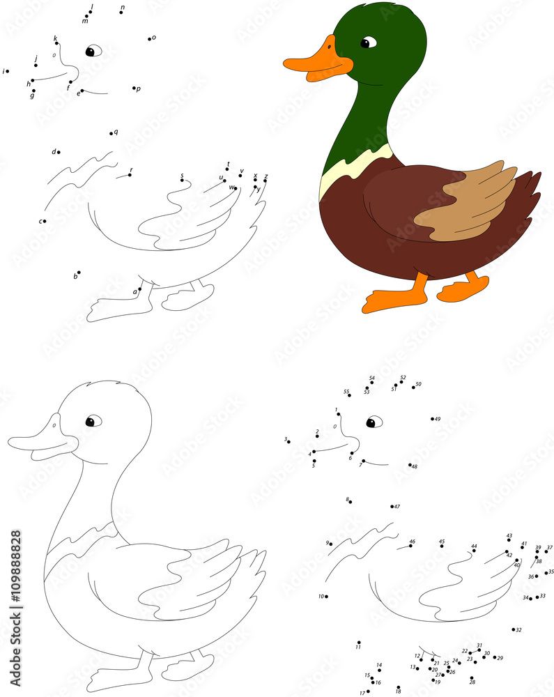 Cartoon duck. Coloring book and dot to dot game for kids Stock Vector |  Adobe Stock