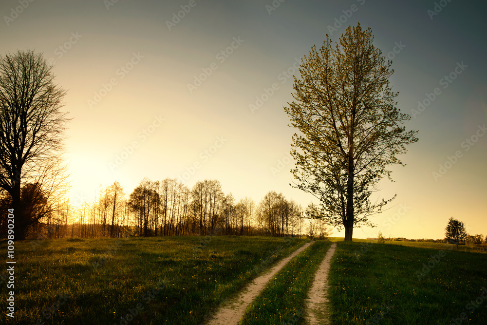 Country road between meadows at sunset. Spring landscape. Masuria, Poland.