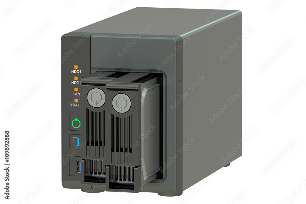 Fototapeta premium NAS with two disks, 3D rendering