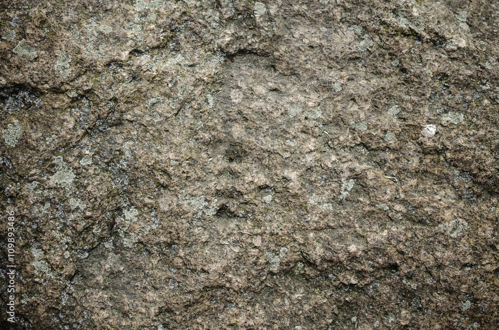 Naklejka premium Rock surface background.
