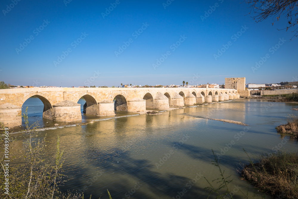 Bridge at Cordoba Spain - nature and architecture background