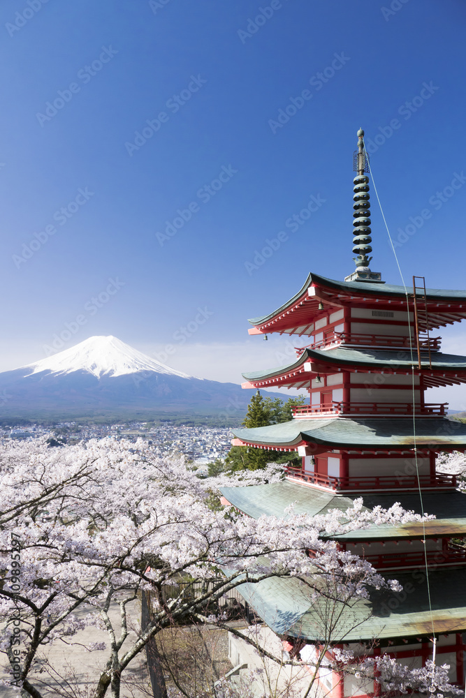 富士山と満開の桜　 新倉富士浅間神社　青空